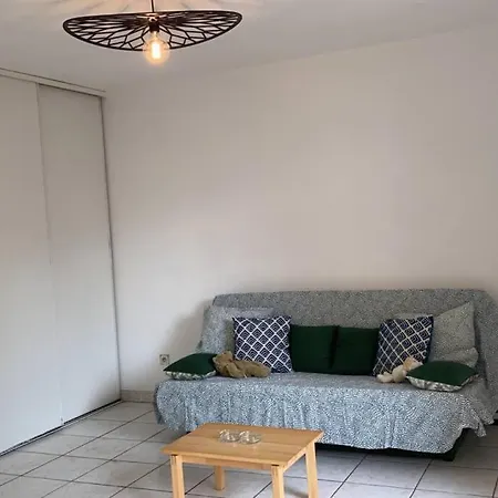Studio Avec Terrasse *